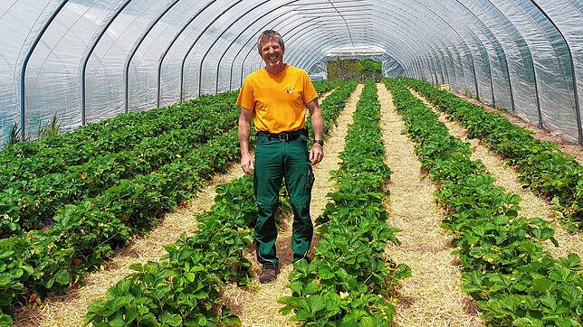 Udo Löhle baut mit seinem Team auf dem Blanhof in Öhningen 18 Produkte an &ndash; von Erdbeeren oder Spargel über Aprikosen oder ...