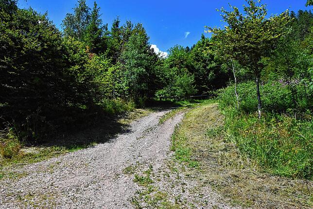 Eine Besonderheit der Gemeinde Häusern ist der &bdquo;Friedwald&ldquo;, eine Ruhestätte für Verstorbene, nicht nur aus der Gemeinde Häusern.