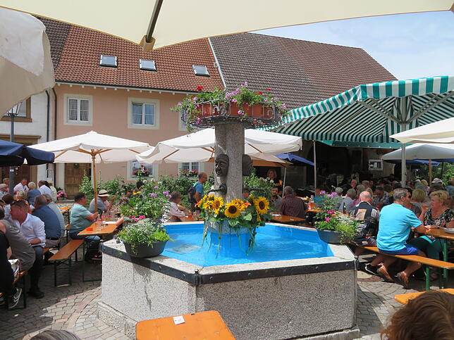 Mittlerweile wird nicht nur die Fasnacht vom Narrenverein organisiert. Einmal im Jahr findet rund um den Dorfbrunnen das Sommerfest von ...