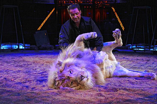 Circus Krone gastiert vom 22. bis 25. Mai mit seinem Sommertourneeprogramm „Farbenspiel – Gold Edition“ in Sigmaringen.