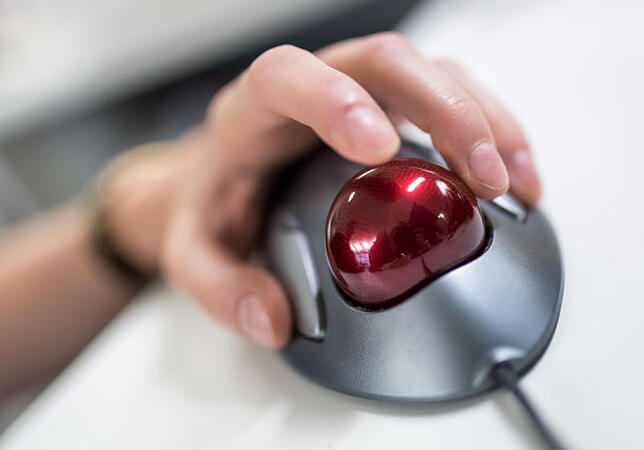 Trackball-Maus.