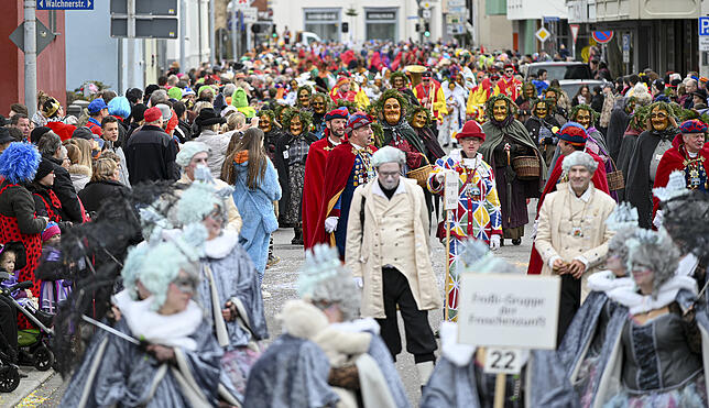 Bild 4: Bilder vom Radolfzeller Fastnachtsumzug