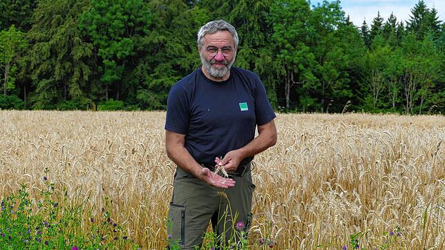 Die Beständigkeit der Wetterphänomene wie Trockenheit ist neu und eine Folge des Klimawandels, sagt der Leibertinger Landwirt Lothar ...