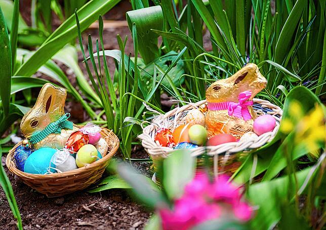 Der Osterhase steht für Fruchtbarkeit, die Eier sind Symbole des Lebens.