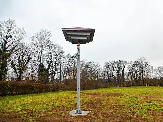 Der Mehlschwalbenturm soll den seltenen Vögeln Nistplätze bieten, die in der Zeppelinstraße 300 wegfallen.