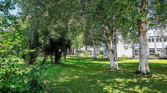 Die betroffene Wiese am Krankenhaus Radolfzell, das im Hintergrund zu sehen ist.