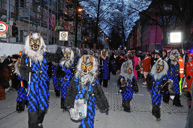Bild 11: In Petershausen steht der Narrenbaum! Alle Fotos vom Freitagabend