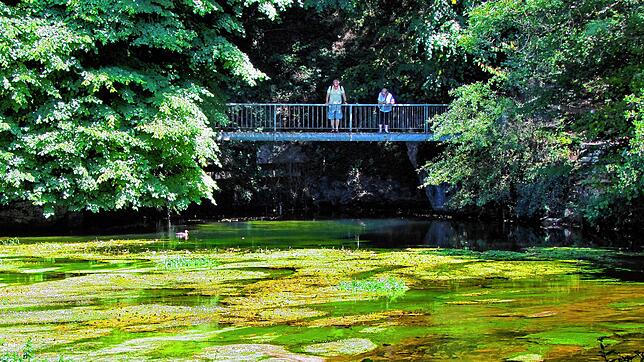 Unter dem Eisensteg quillt das Höhlenwasser als Aachquelle zutage. Es enthält rund 60 Prozent Donauanteil.