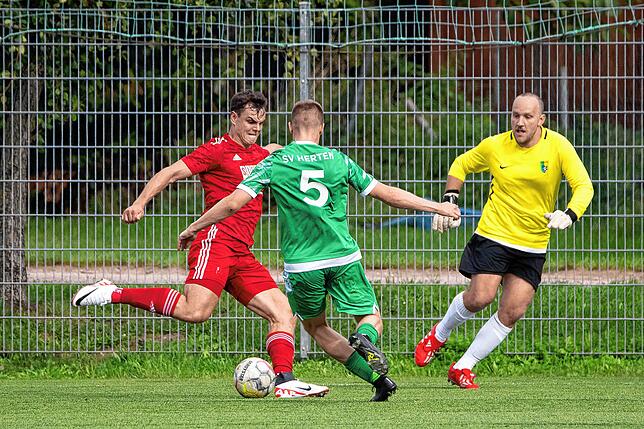 Bild 34: VfR Bad Bellingen siegt 2:0 beim SV Herten &ndash; und wir haben Bilder!