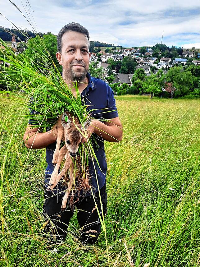 Jäger Tobias Schmidle aus Tengen-Büßlingen hat ein junges Rehkitz gefunden. Im tiefen Gras hätte es sich beim Nahen der Mähmaschine ...