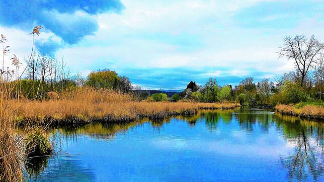Anpassung des Dekrets zum Schutz des Klingnauer Stausee: Das Feuchtgebiet Machme soll unter Naturschutz gestellt werden.