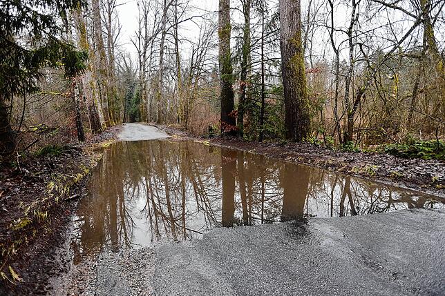 Bis zu 20 Zentimeter hoch steht das Wasser auf der Gemeindeverbindungsstraße zwischen Dettingen und Hegne.