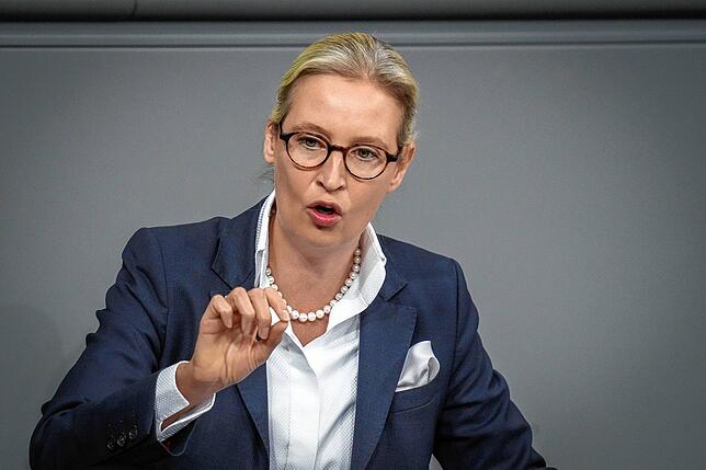 Alice Weidel (AfD) aus dem Bodenseekreis soll Kanzlerkandidatin werden.