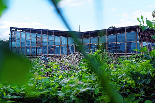 Bild 1: Das alte Häfler Hallenbad verschwindet Stück für Stück