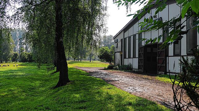 Der Blick vom Bodenseereiter auf das Biotop Streuhau im Hintergrund: Aus den verlassenen Ställen ist kein einziges Wiehern mehr zu hören.