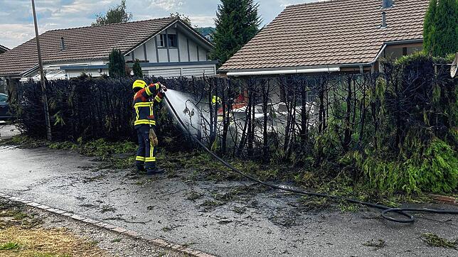 Zehn Meter einer Hecke in Mägenwil werden jüngst bei einem Feuer zerstört, das beim Unkrautvernichten entstanden ist.