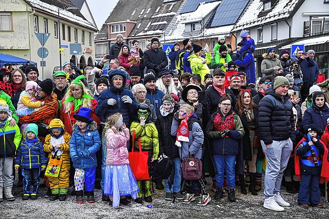 Bild 28: 75 Gruppen beim Fasnachtsumzug in St. Georgen: Wir haben die Bilder