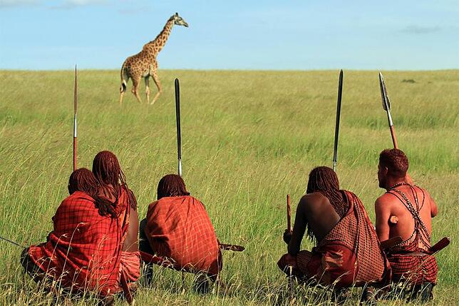 Vier echte Massai-Krieger und Benjamin Eicher (rechts) beobachten in der Serengeti eine Giraffe. Bilder: Mayer