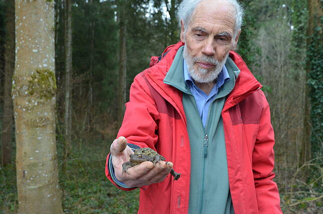 Sie fühlen sich weich und kalt an, die wechselwarmen, ihre Körpertemperatur an die Umgebung anpassenden Amphibien aus dem Wald.