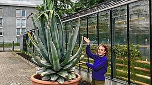 Gärtnerei-Auszubildende Anouk Werner freut sich auf die seltene Blütenpracht der Agave. Foto: Stadt Rheinfelden