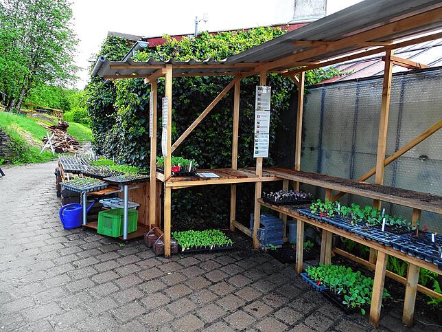 In Heiligenberg-Steigen kann man gegen eine Spende ständig Pflänzchen für den heimischen Garten holen.