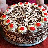 Eine Schwarzwälder Kirschtorte, bestehend aus schneeweißer Sahne, blutroten Kirschen, schwarzbraunem Biskuitboden und dunkler ...