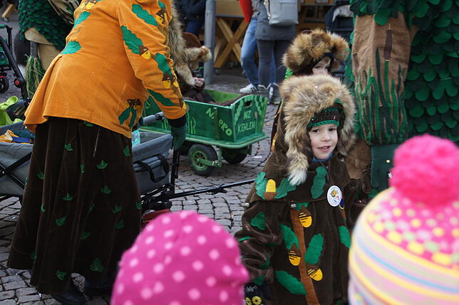 Bild 13: Bilder vom Kinderumzug zum Ringtreffen des Alemannischen Narrenrings am Samstag