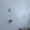 Eine Baumkrone ist abgesägt und wird vom Helikopter abtransportiert.