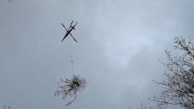 Eine Baumkrone ist abgesägt und wird vom Helikopter abtransportiert.