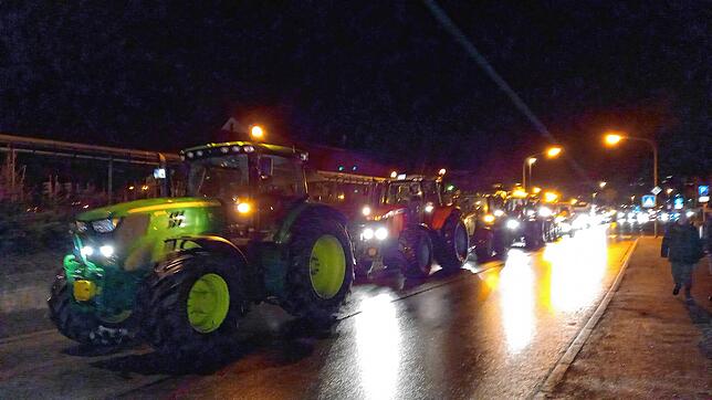 Bild 2: Landwirte haben genug: Alle Bilder von der Traktor-Protestfahrt durch Stockach