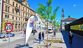 Die ersten Bäume grünen am Bahnhofplatz. Heimische Arten suchen Passanten allerdings vergeblich. Warum?