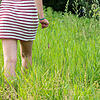 Bild :