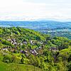 Blick auf den Waldshuter Ortsteil Eschbach. Das Dorf profitiert laut Ortsvorsteher Matthias Schupp besonders von seiner Nähe zu Waldshut.