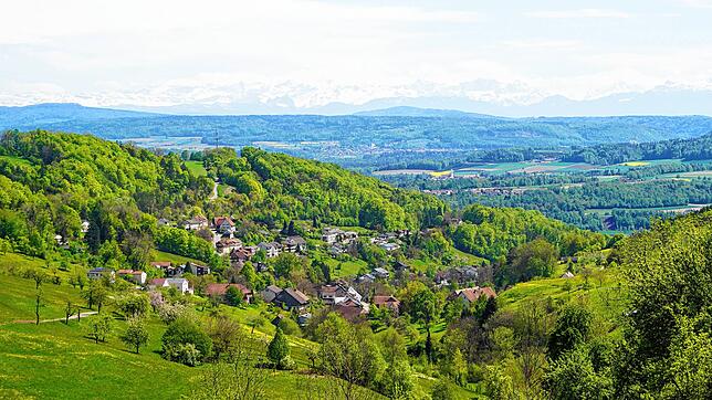 Blick auf den Waldshuter Ortsteil Eschbach. Das Dorf profitiert laut Ortsvorsteher Matthias Schupp besonders von seiner Nähe zu Waldshut.
