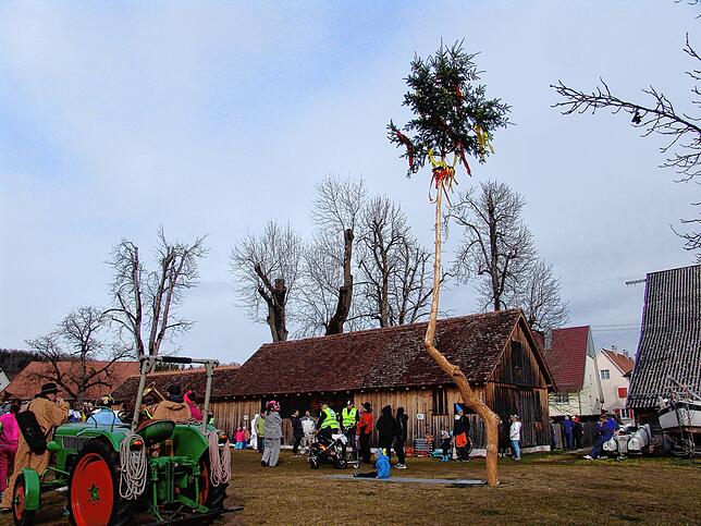 Bild 9: Narrenbaum mit Corona-Knick in Weildorf