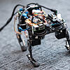 Ein katzenartiger Roboter läuft im kürzlich eröffneten Zentrum für Künstliche Intelligenz in München durch den Raum. Bilder: dpa