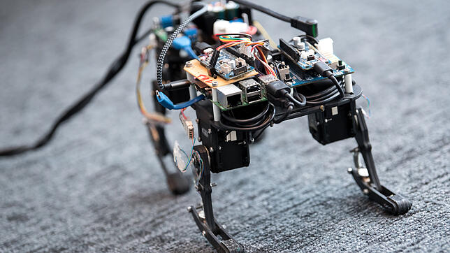 Ein katzenartiger Roboter läuft im kürzlich eröffneten Zentrum für Künstliche Intelligenz in München durch den Raum. Bilder: dpa