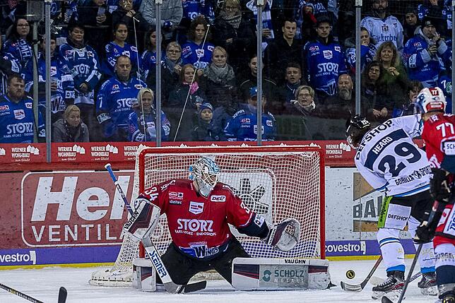Bild 19: Die Wild Wings siegen wieder in der Deutschen Eishockey-Liga