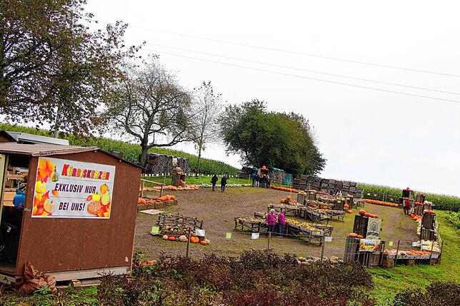 Bild 9: Viel Begeisterung beim 12. Strohskulpturen-Wettbewerb in Verbindung mit dem 25. Kürbismarkt