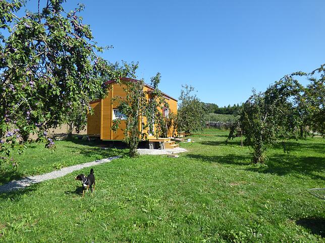 Hund Lili fühlt sich zwischen den Obstbäumen und dem Tiny House wohl.