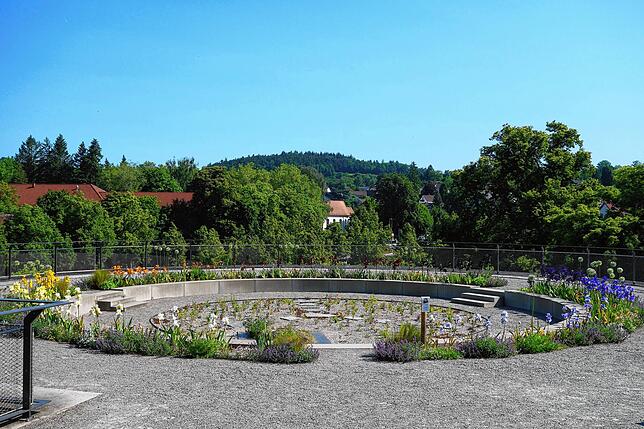 Zurzeit blüht er komplett: Der Irisfarbkreis auf dem Rosenobelturm.