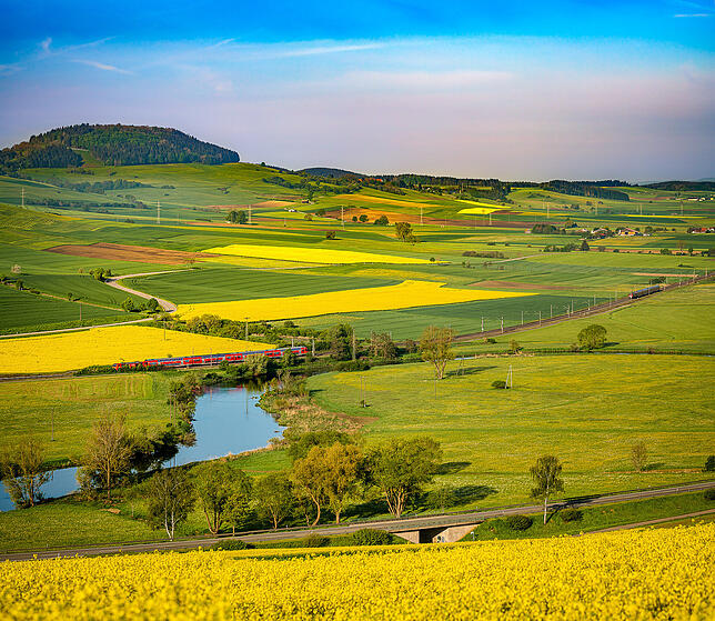 Blick vom Wartenberg: Rapsfelder in voller Blüte setzen gelbe Farbtupfer in die Baaremer Landschaft. Bild: Tobias Ackermann