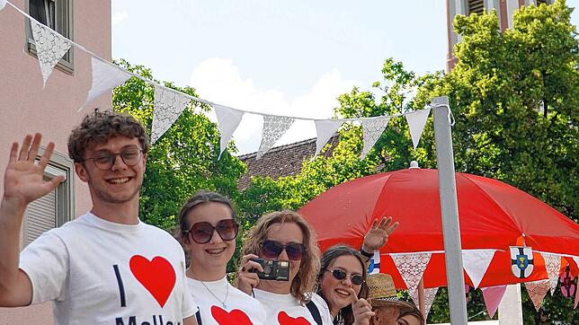 Die vielfältigen Motive der Aufsitzrasenmäher ziehen beim Watterdinger Dorffest die Blicke auf sich. Und auch die Stimmung auf den ...