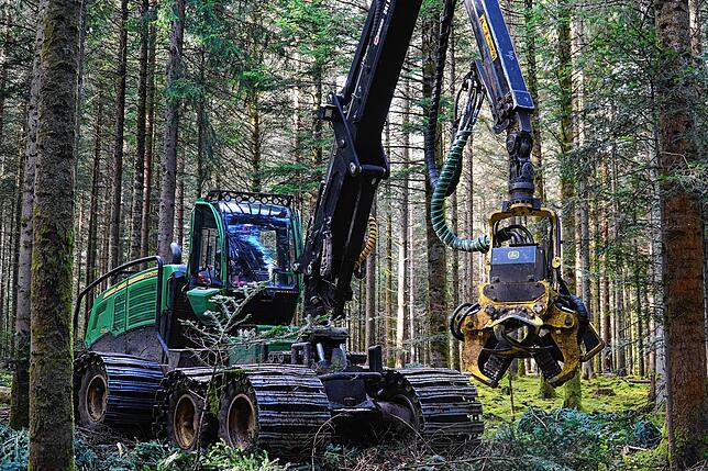 Das Forstamt Villingen-Schwenningen plant für dieses Jahr, 70.500 Festmeter Holz zu schlagen.