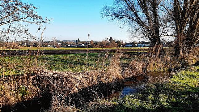 Das Ried zwischen dem Schwarzen Graben im Vordergrund und Stefansfeld im Hintergrund ist eine ebene Fläche. Bald soll ein Damm ...