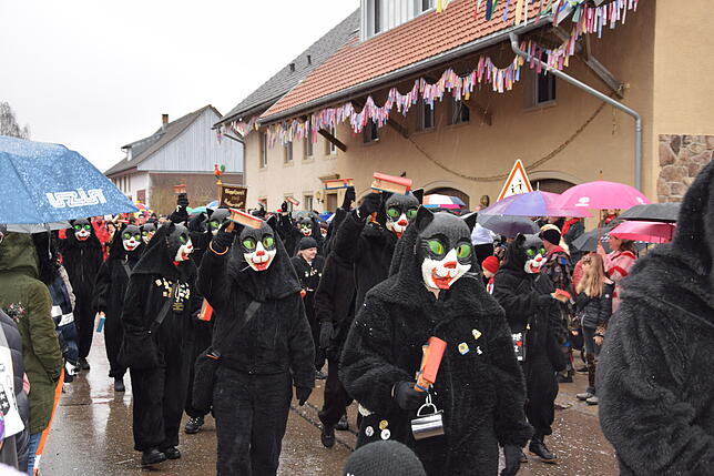 Bild 40: Schlüchttalnarrentreffen in Nöggenschwiel: So beeindruckend war das Event