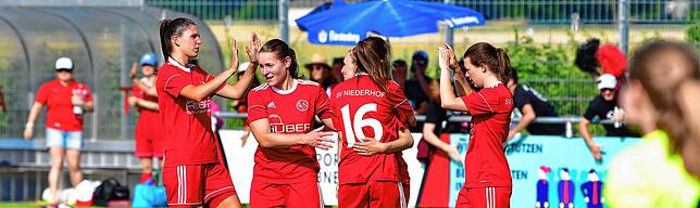 Bild 27: SV Niederhof steigt nach 3:2-Sieg bei der SG Ebnet in die Verbandsliga auf &ndash; und wir haben Bilder!