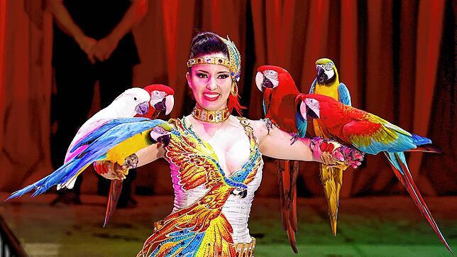 Mit gefiederten Freunden: Laura Urunova zeigt in der Manege eine Papageien-Dressur. Bild: Zirkus Knie/Michael Ketzer