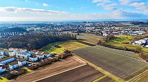 Wo ist (der richtige) Platz in Friedrichshafen für Wohnungsbau, Gewerbeentwicklung oder Solarparks? Blick auf die Stadt am Bodensee aus ...