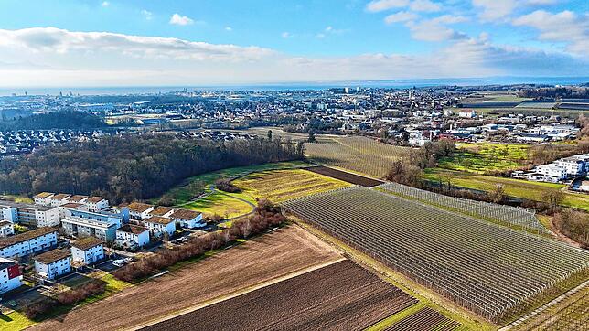 Wo ist (der richtige) Platz in Friedrichshafen für Wohnungsbau, Gewerbeentwicklung oder Solarparks? Blick auf die Stadt am Bodensee aus ...
